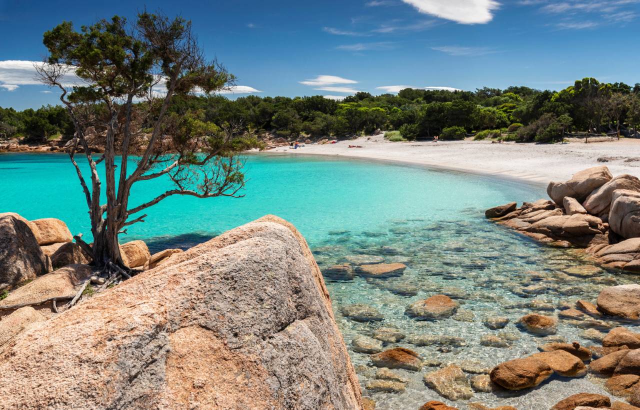 Car rental Olbia Noleggiare.it
