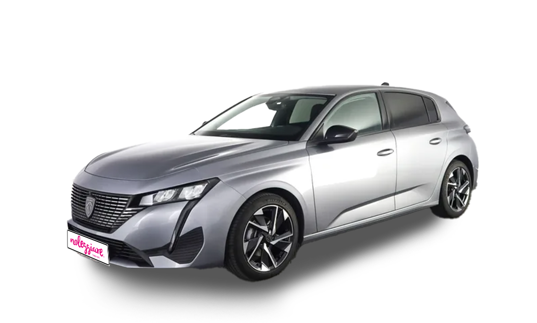 noleggio mensile e annuale