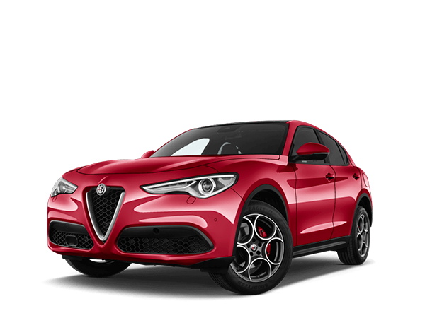 5-business-sta-collection-auto